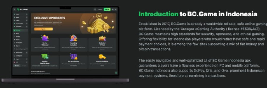 Discovering the Excitement of Bc Game Forum